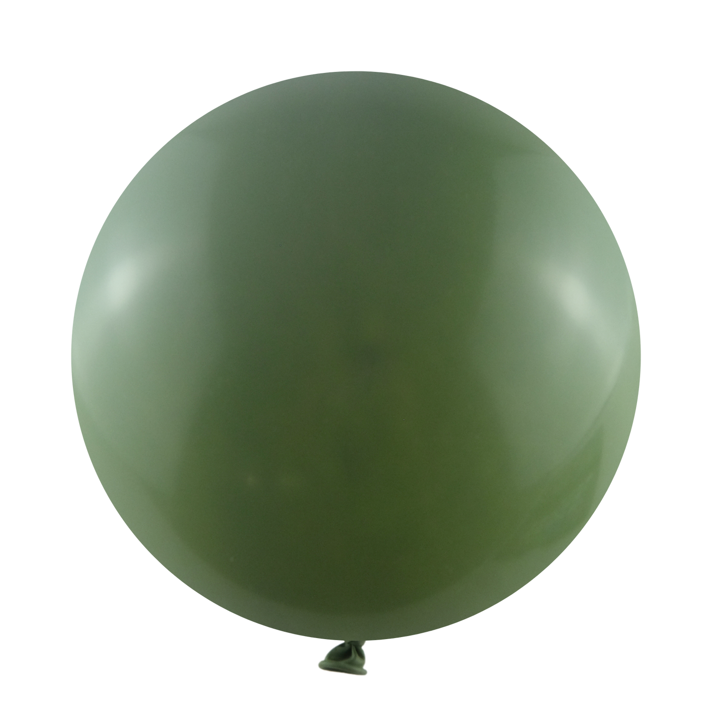 thyme green latex balloons